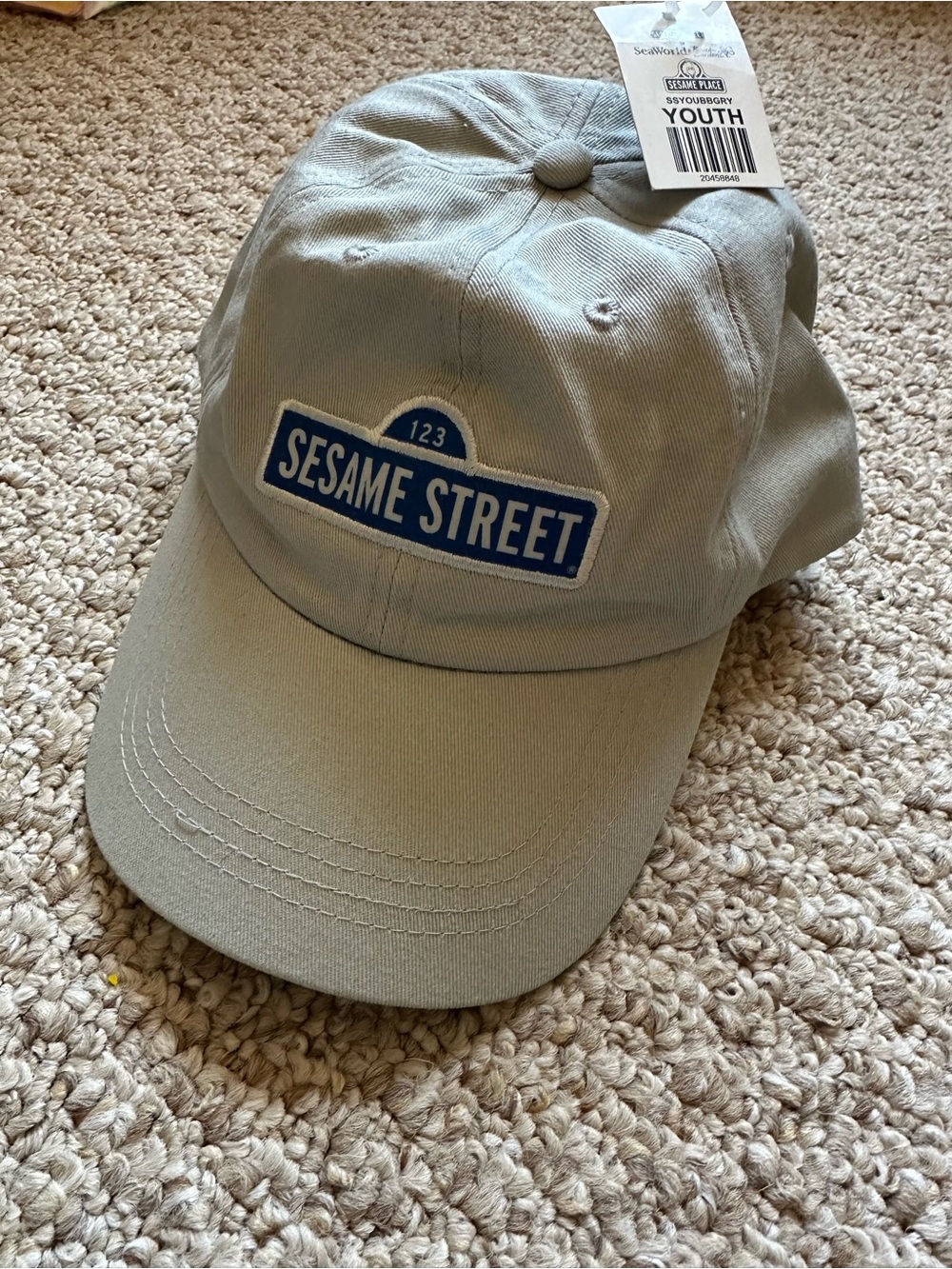 Sesame Street Youth Cap